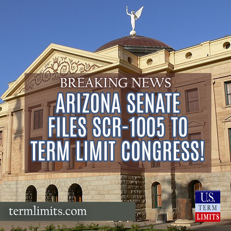 Arizona Files to term limit congress